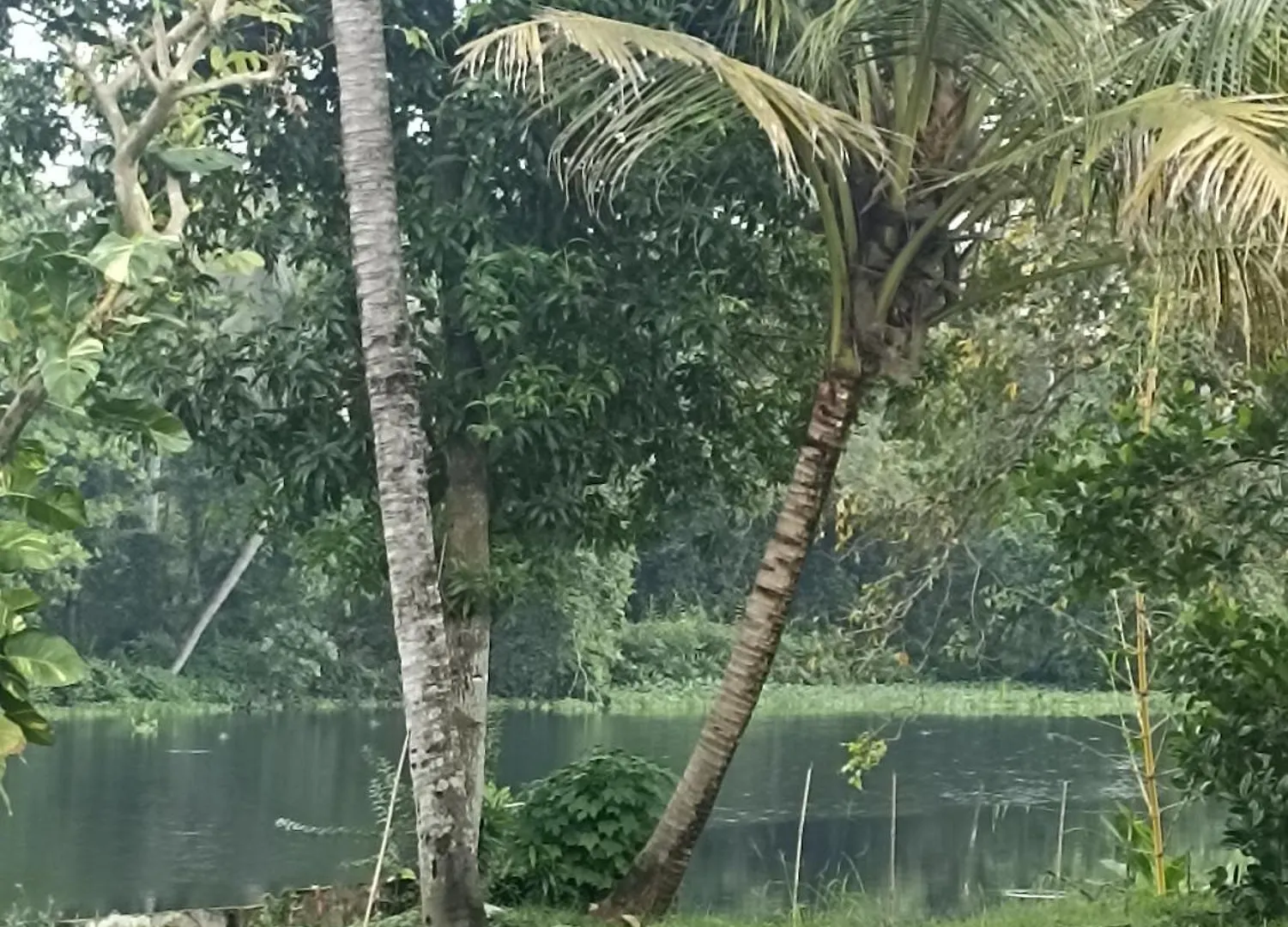 Homestay Riverside Group Kochi